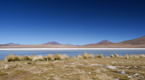 In the Eduardo Avaroa Andean Fauna National Reserve