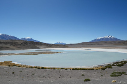 The Andean Fauna National Reserve