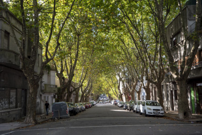 Uruguay's capital is laid back and very green