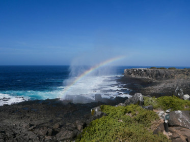 Espanola island, Galapagos