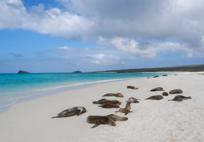 Gardner Bay, Epanola Island