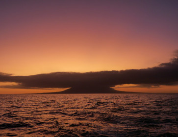Farewell Galapagos