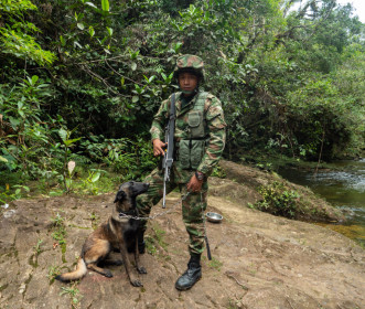 Some remote tourist hikes have soldiers stationed for protection.