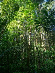 Insane biodiversity but the animals hide well