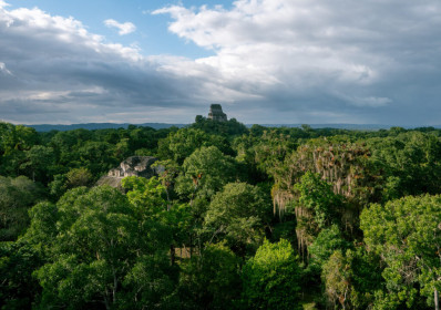 Mayan ruins in lush forest