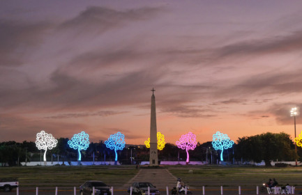 The colorful trees are an addition from the president's wife